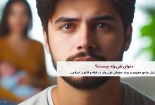 دعوای نفی ولد چیست؟ 11 دعوای نفی ولد چیست؟